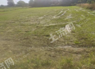 常德汉寿县 11.06亩 水田 经营权出租