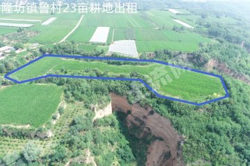 延安黄陵县 23亩 水浇地 经营权出租