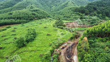 南宁上林县 30亩 水浇地 经营权出租