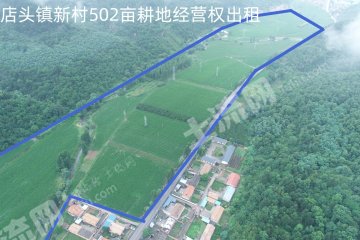 延安黄陵县 502亩 水浇地 经营权出租