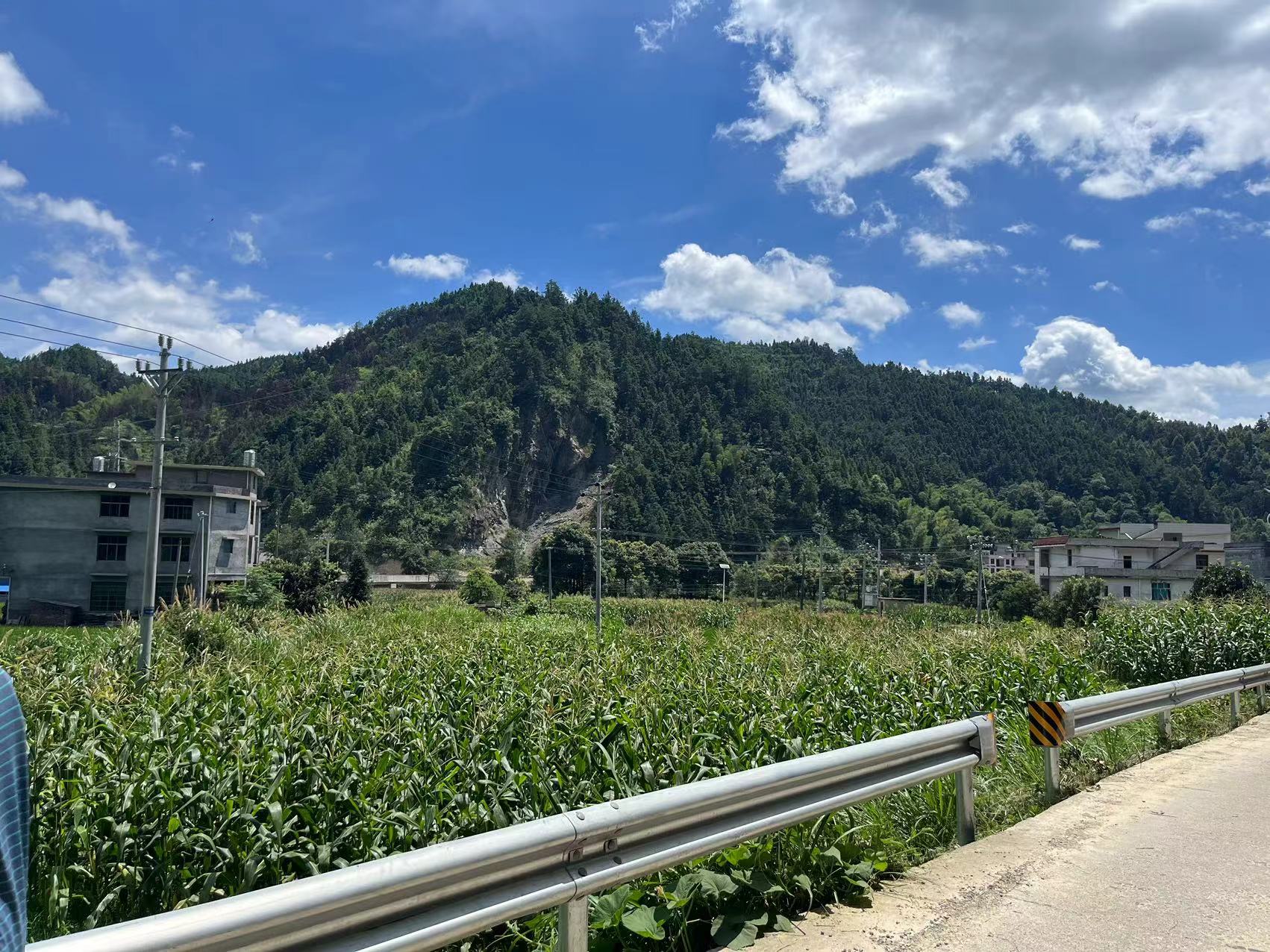 邵阳隆回县 8亩 水浇地 经营权出租