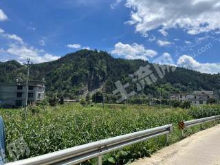 邵阳隆回县 8亩 水浇地 经营权出租