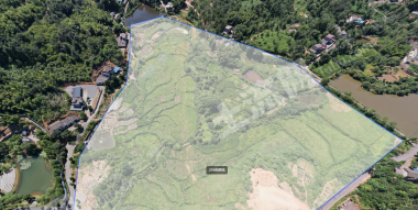 湘潭岳塘区 210亩 水浇地 经营权出租