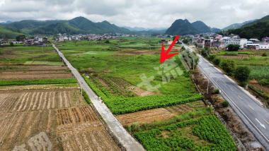 南宁上林县 50亩 水田 经营权出租