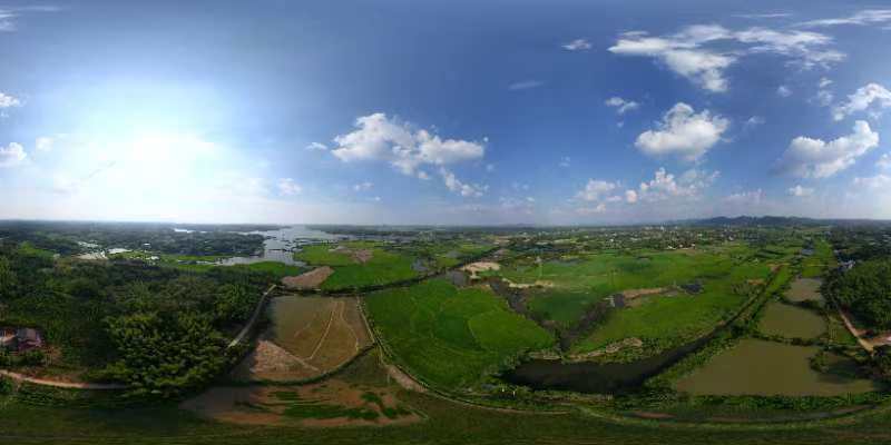 岳阳临湘市 1886.9亩 水浇地 经营权出租