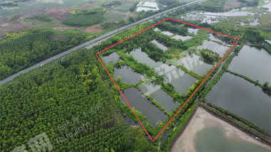 南宁横州市 100亩 坑塘水面 经营权出租