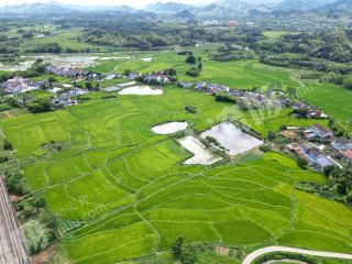 岳阳临湘市 1654.55亩 水浇地 经营权出租