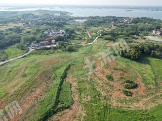 咸宁赤壁市 170亩 旱地 经营权出租