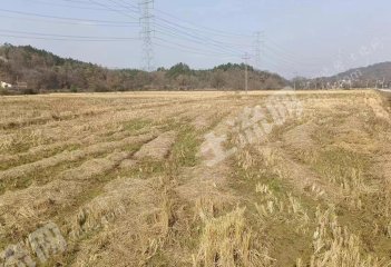 岳阳临湘市 446.6亩 水浇地 经营权出租