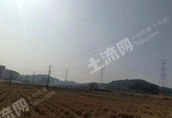 岳阳临湘市 446.6亩 水浇地 经营权出租