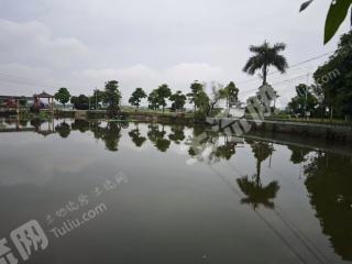 南宁横州市 6亩 坑塘水面 经营权出租