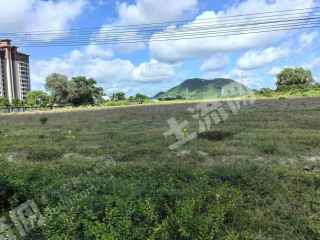 海南陵水黎族自治县 116.38亩 水浇地 经营权出租