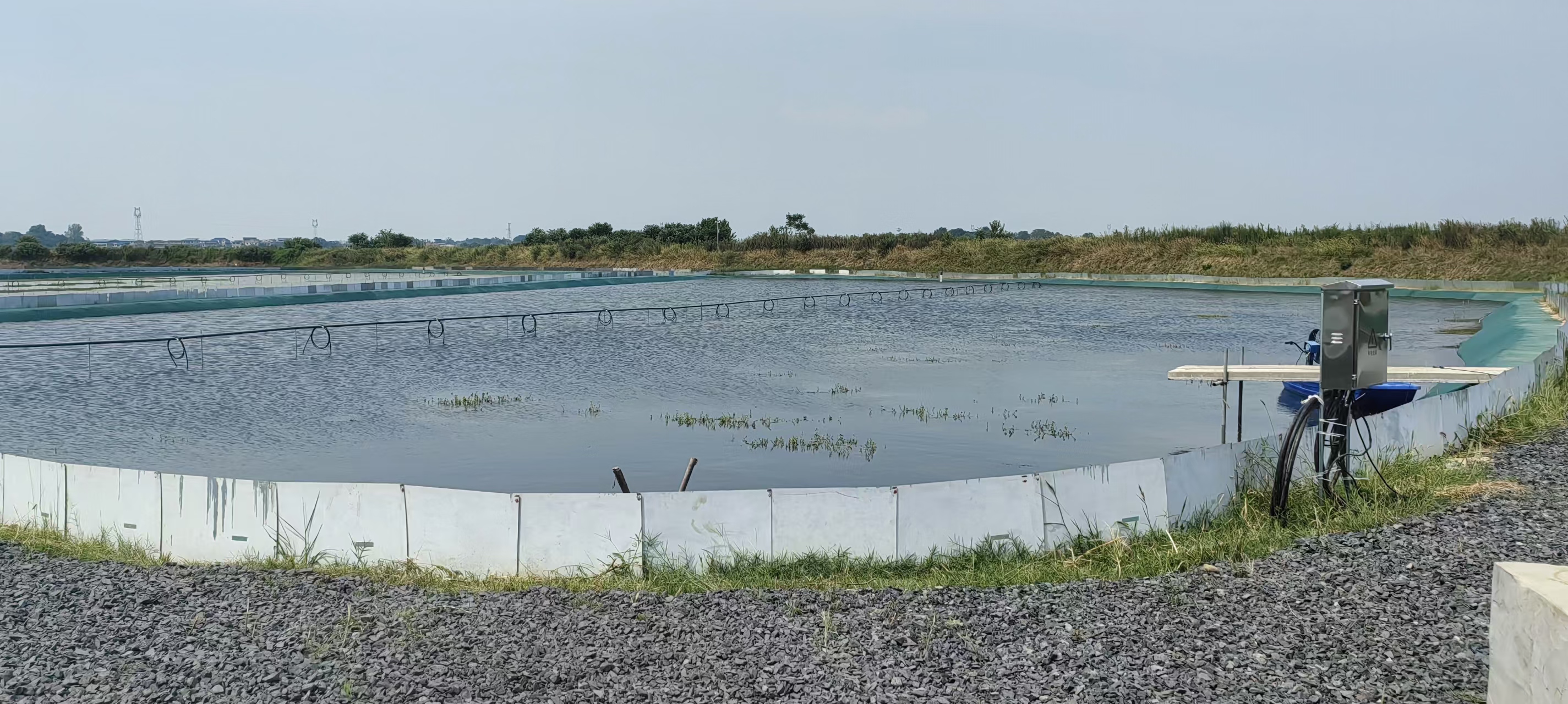 九江湖口县 110亩 坑塘水面 经营权出租