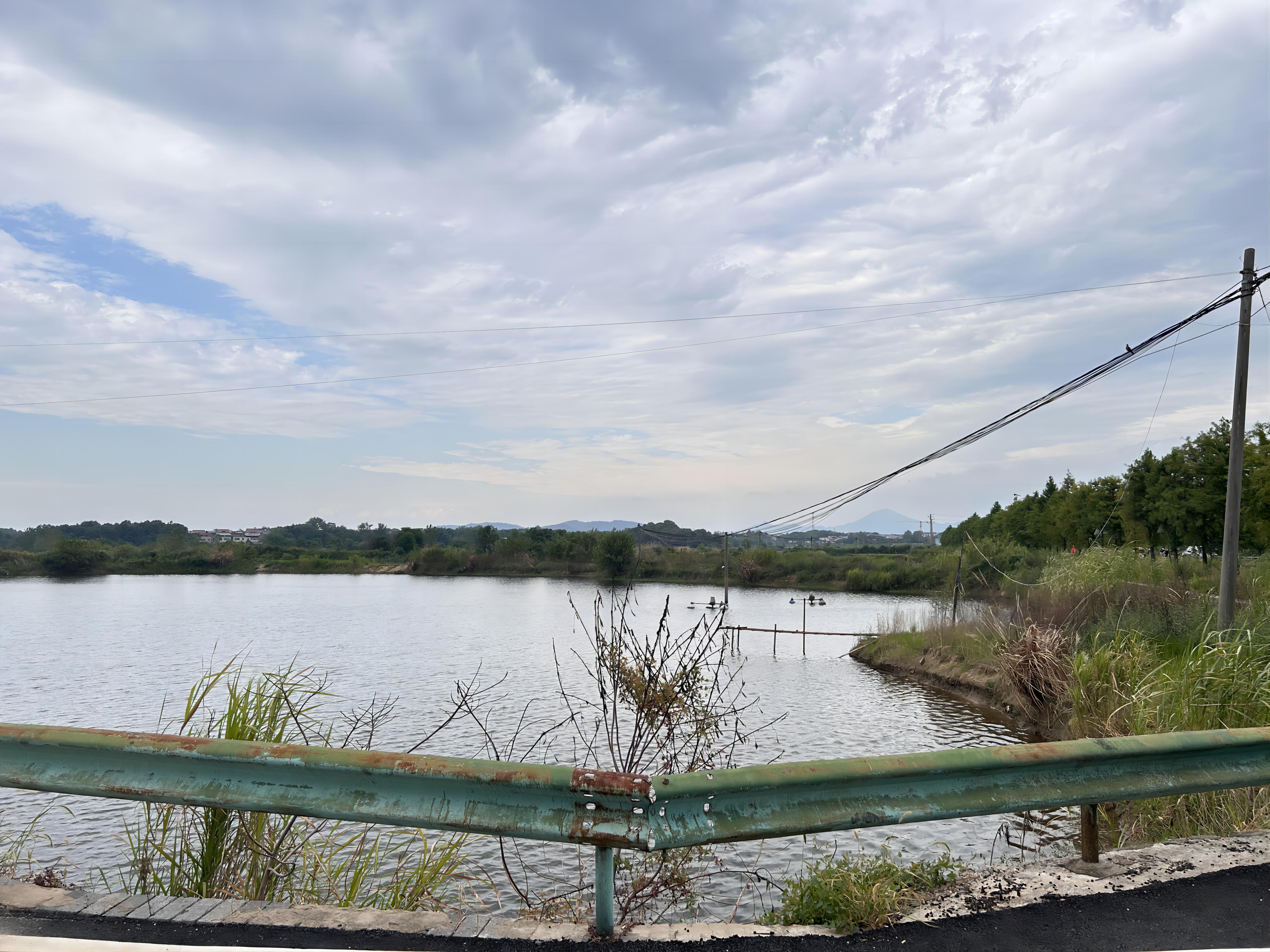 九江湖口县 20亩 坑塘水面 经营权出租