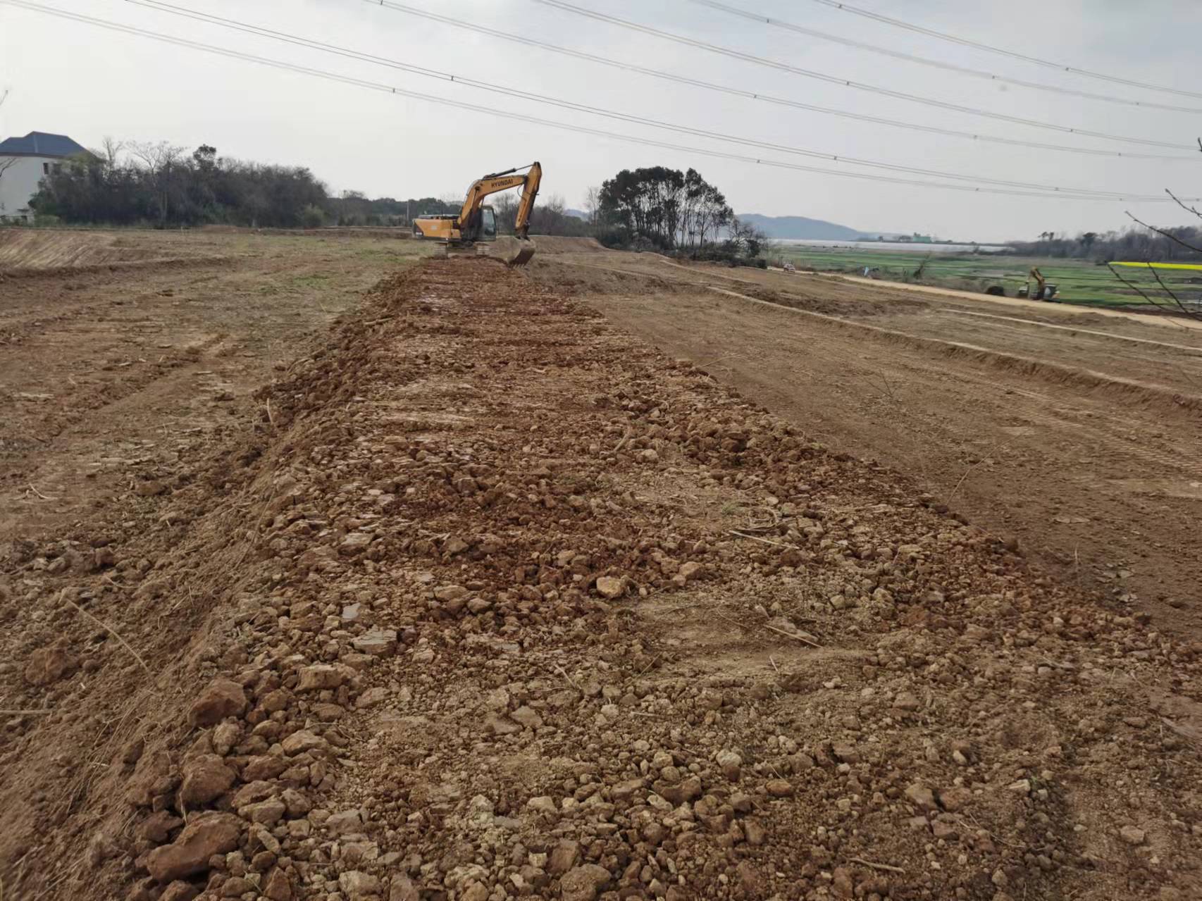 九江湖口县 270亩 水浇地 经营权出租
