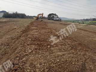 九江湖口县 270亩 水浇地 经营权出租