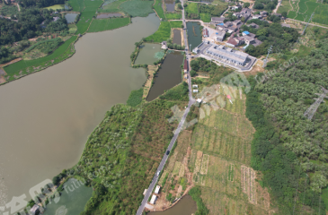 湘潭岳塘区 180亩 水浇地 经营权出租