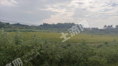 九江湖口县 82.79亩 水浇地 经营权出租