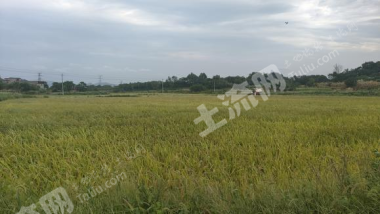 九江湖口县 44.22亩 水浇地 经营权出租