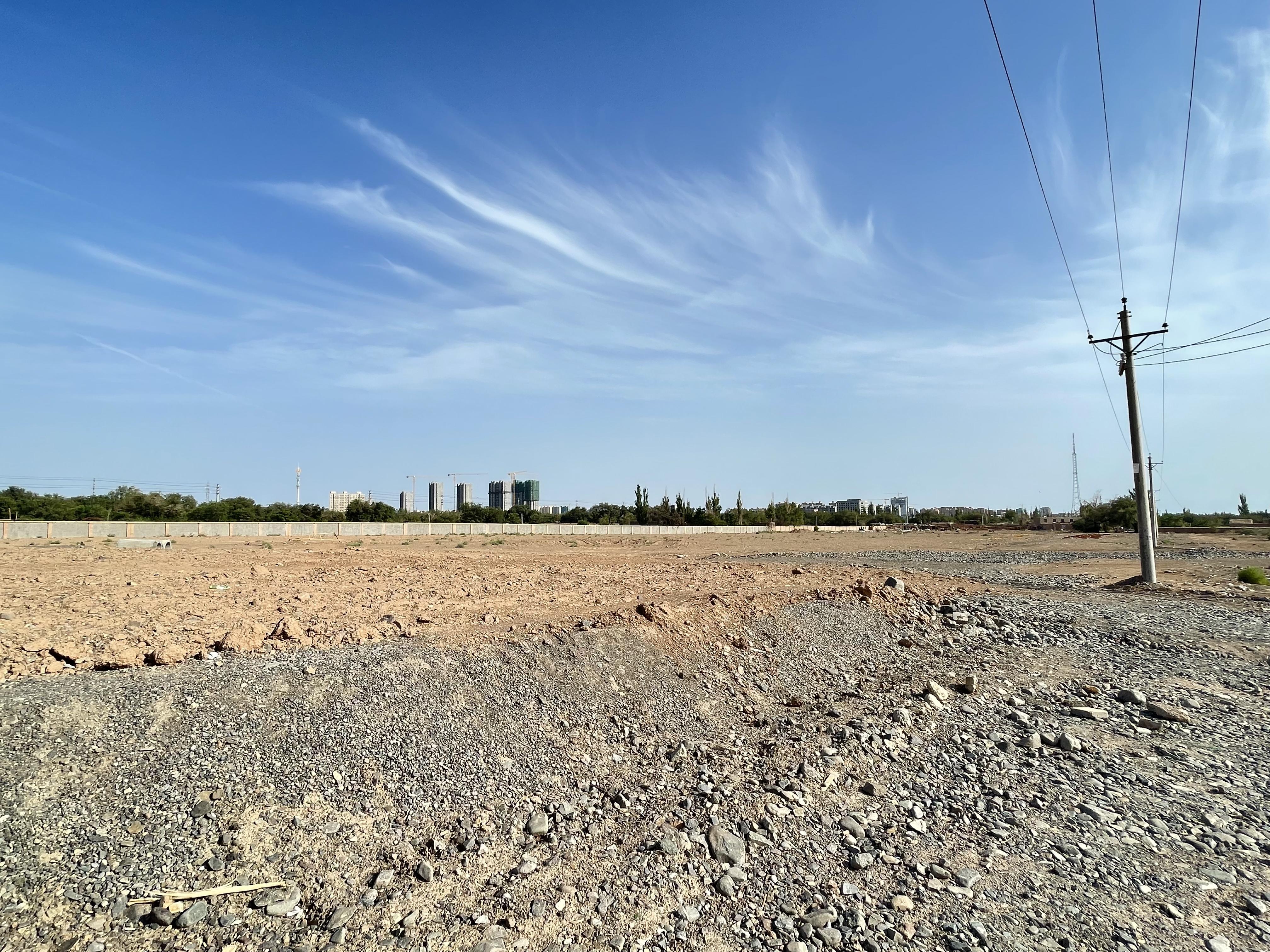 吐鲁番高昌区 43亩 果园 经营权出租