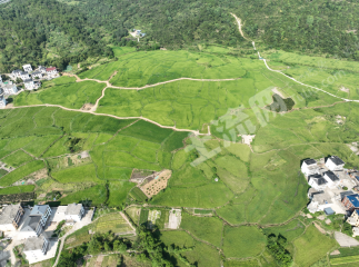 九江庐山市 600亩 水浇地 经营权出租