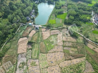 咸宁赤壁市 241.17亩 旱地 经营权出租