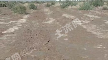 阿克苏柯坪县 59.87亩 水浇地 经营权出租