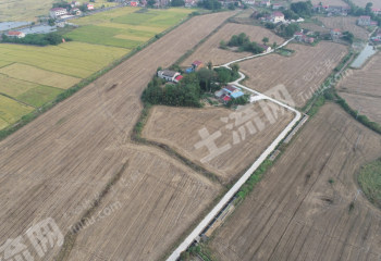 益阳桃江县 350亩 水浇地 经营权出租
