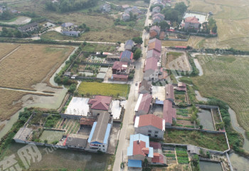 益阳桃江县 850亩 水浇地 经营权出租