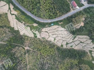 咸宁赤壁市 50亩 水浇地 经营权出租