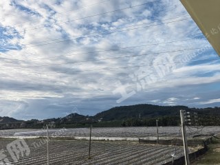 海南陵水黎族自治县 50亩 水浇地 经营权出租
