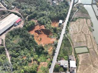 邵阳邵阳县 2亩 乔木林地 经营权出租