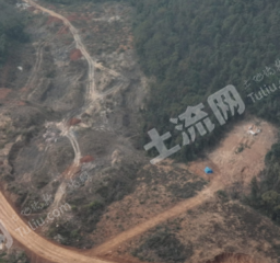 邵阳邵阳县 55亩 乔木林地 经营权出租