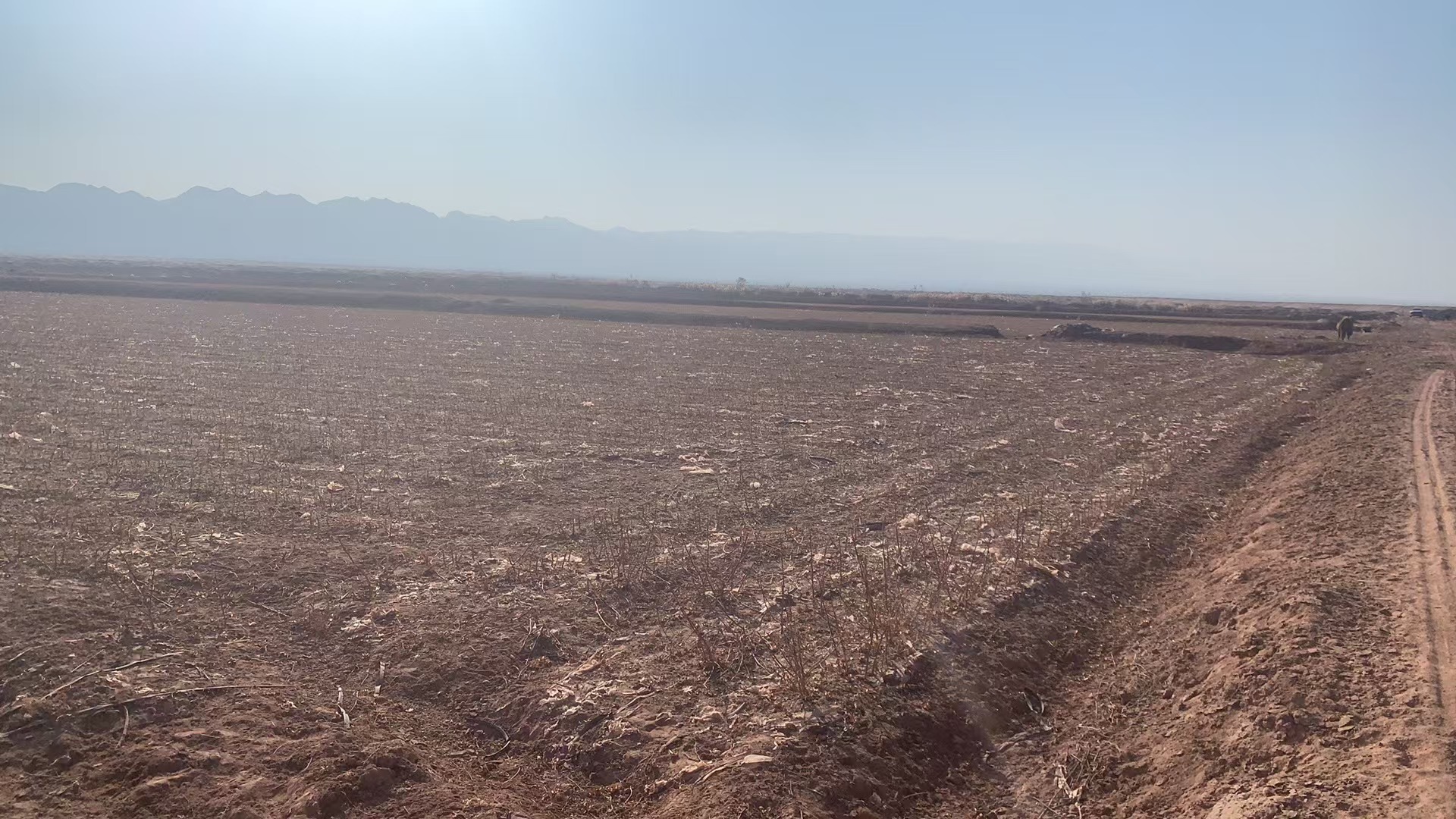 阿克苏柯坪县 85.35亩 水浇地 经营权出租