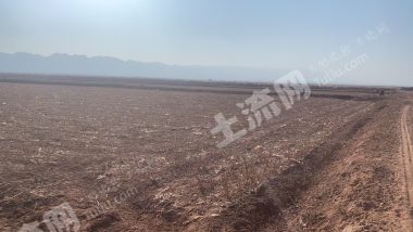 阿克苏柯坪县 85.35亩 水浇地 经营权出租