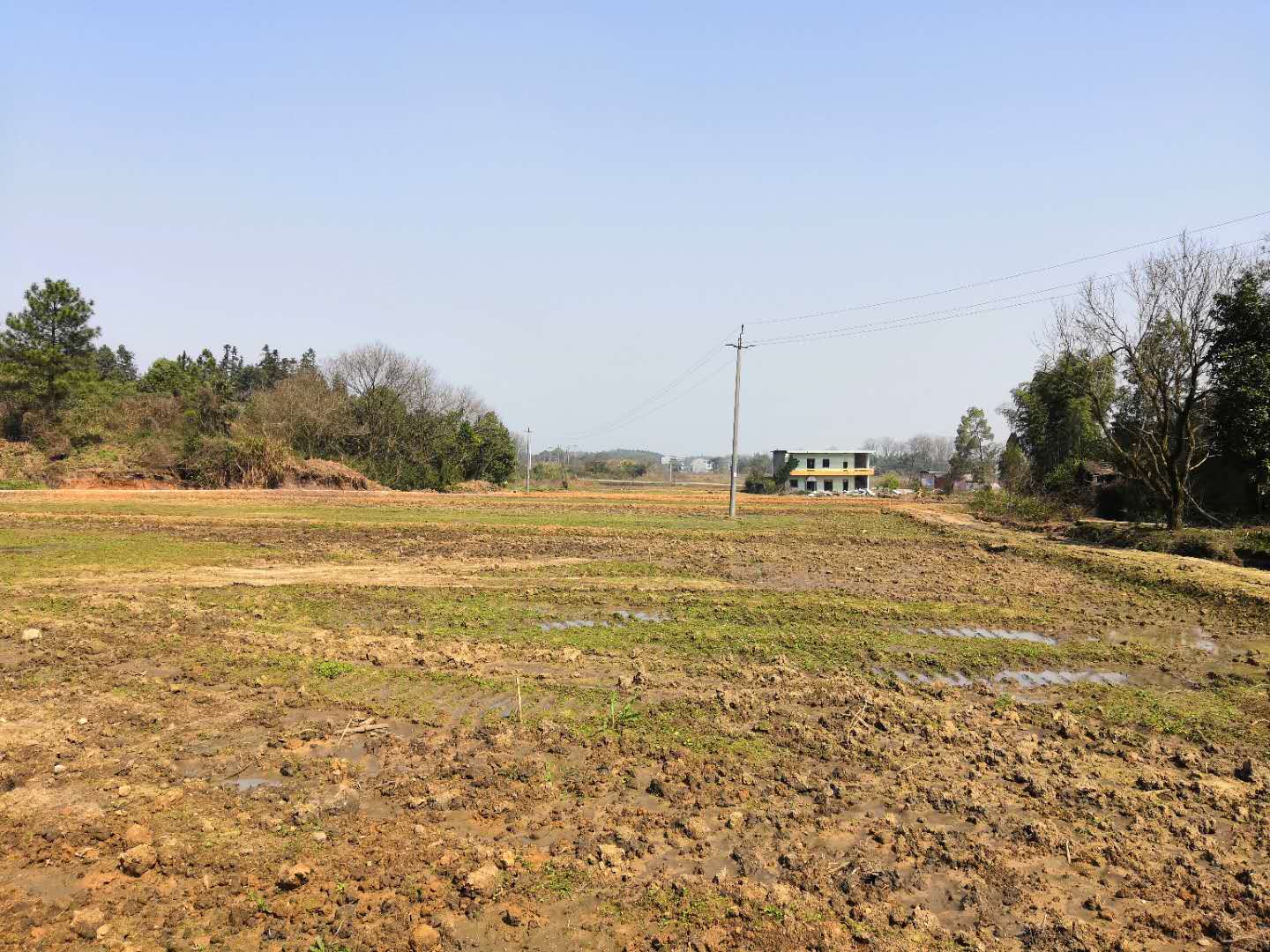 宜春丰城市 329亩 水田 经营权出租