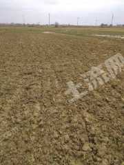 宜春丰城市 260亩 水田 经营权出租