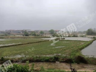 宜春丰城市 410亩 水田 经营权出租