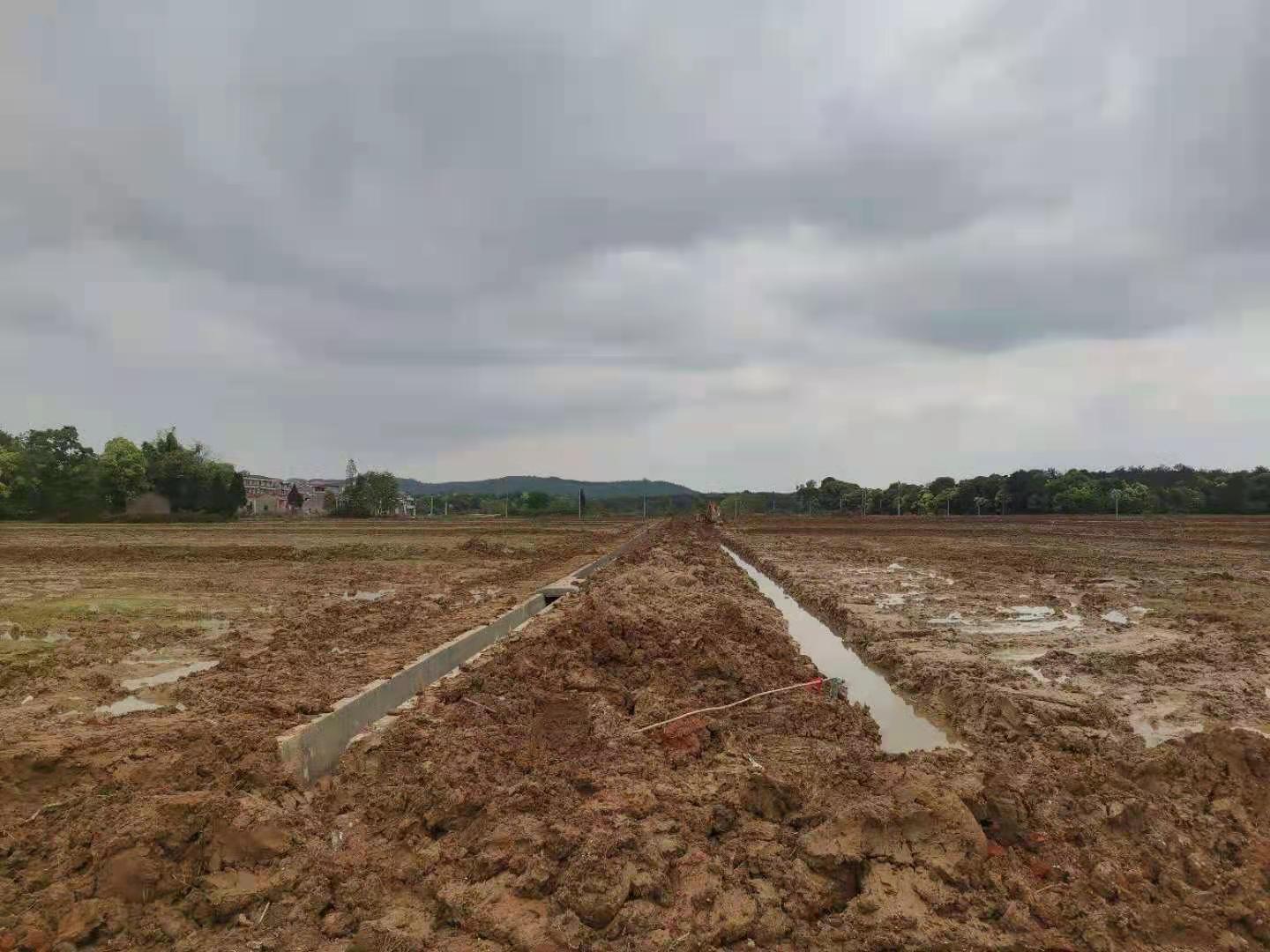 宜春丰城市 317亩 水田 经营权出租