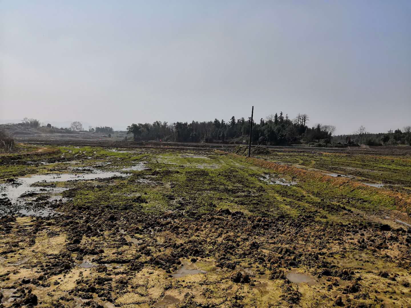 宜春丰城市 718亩 水田 经营权出租