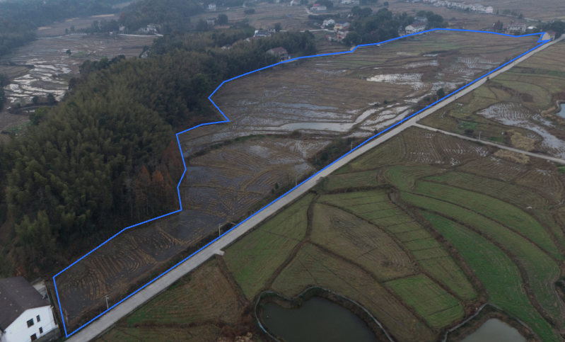 益阳桃江县385.83亩水浇地经营权出租