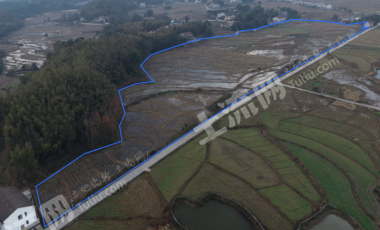 益阳桃江县385.83亩水浇地经营权出租