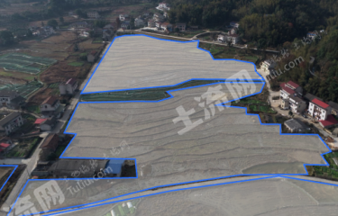 益阳桃江县280.38亩水浇地经营权出租