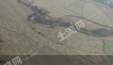 益阳桃江县 346.63亩 水浇地 经营权出租