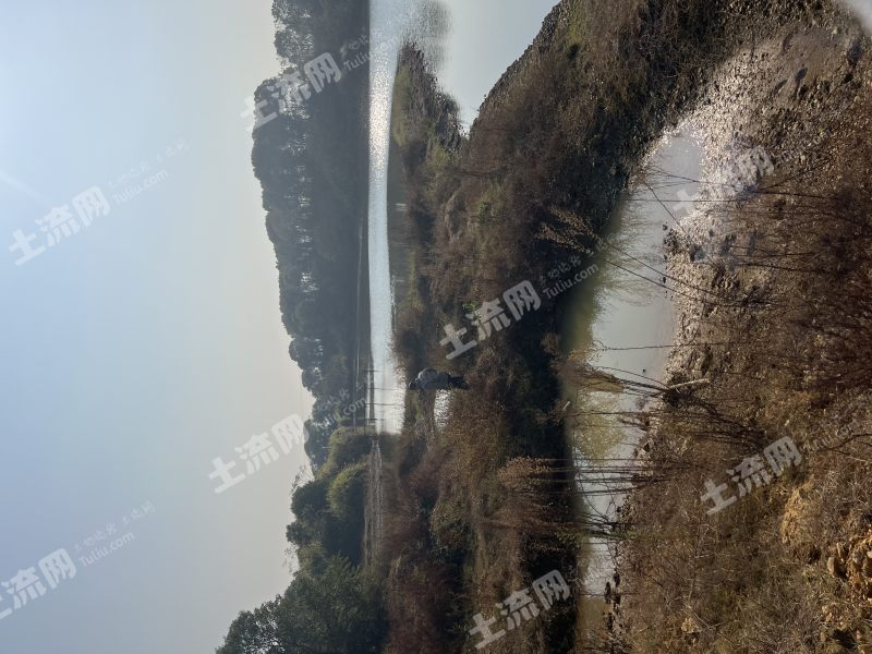 江西新余 16亩 坑塘水面 经营权出租