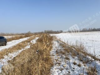 阿克苏沙雅县 1111.12亩 水浇地 经营权出租