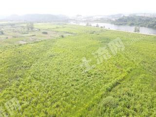 新余渝水区290.0亩水浇地经营权出租