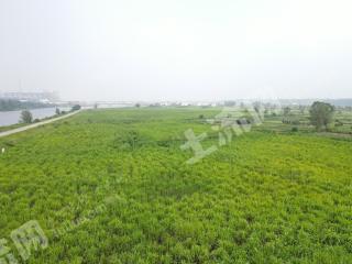 新余渝水区290.0亩水浇地经营权出租