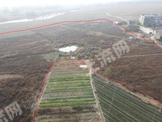 新余渝水区 100亩 水浇地 经营权出租