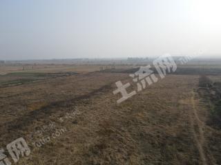 新余渝水区 200亩 水浇地 经营权出租